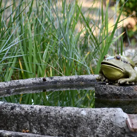 Mas La Belle Ambroise - D'hotes Et 4* Saint-Ambroix