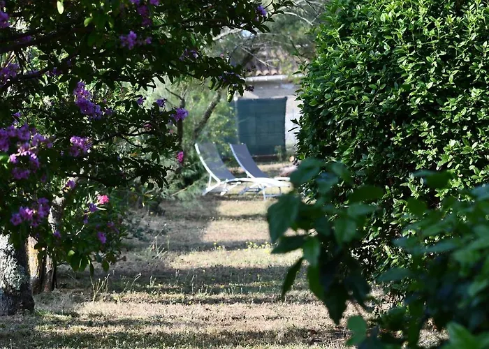 Mas La Belle Ambroise - D'hotes Et 4*